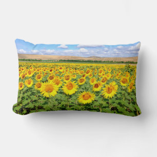 Sonnenblumenfeld Lendenkissen