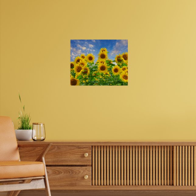 Sonnenblumenfeld mit Blumen Poster (Wohnzimmer 2)