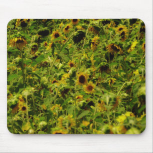 Sonnenblumenfeld Mousepad