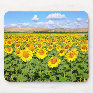 Sonnenblumenfeld Mousepad