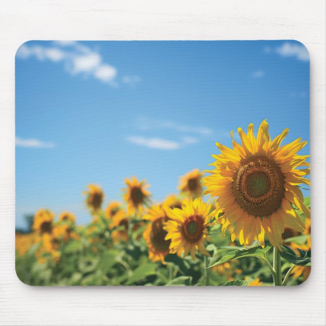 Sonnenblumenfeld Mousepad (Vorne)