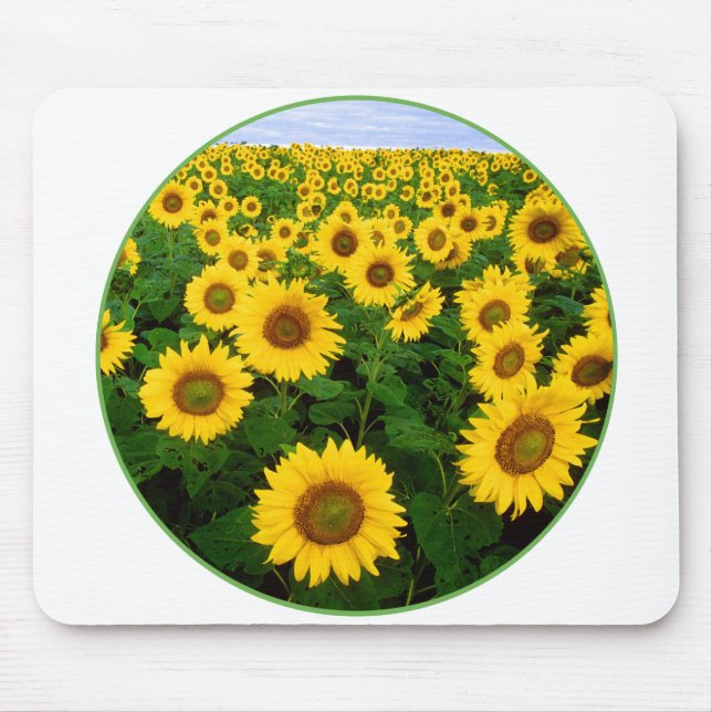 Sonnenblumenfeld Mousepad (Vorne)