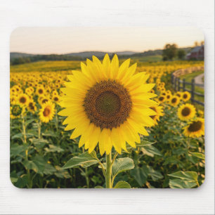 Sonnenblumenfeld Mousepad