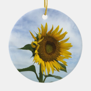 Sonnenblumenfeld-Ornament Keramik Ornament