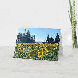 Sonnenblumenfeld, Provence, Frankreich - Karte