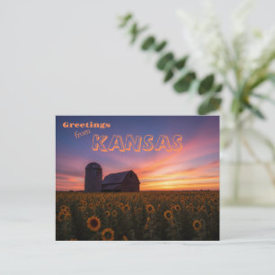 Sonnenblumenfeld Scheune Landschaft Kansas Postkarte