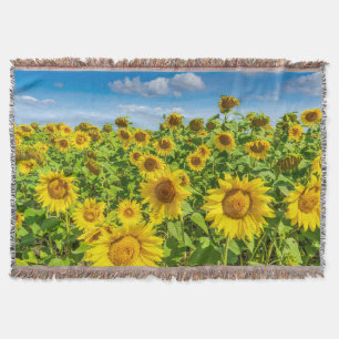 Sonnenblumenfeld, Sommersonntag. Decke