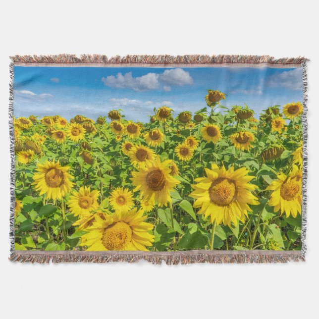 Sonnenblumenfeld, Sommersonntag. Decke (Vorderseite)