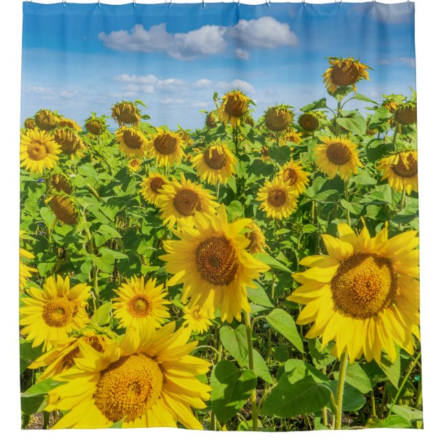 Sonnenblumenfeld, Sommersonntag. Duschvorhang (Vorderseite)