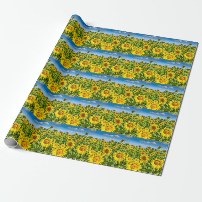 Sonnenblumenfeld, Sommersonntag. Geschenkpapier (Ungerollt)