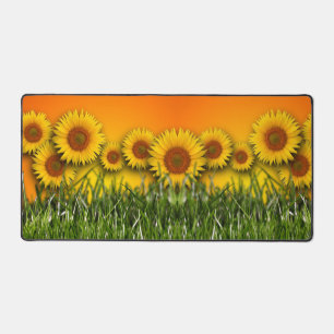 Sonnenblumenfeld Sonnenaufgang Himmelsgras Schreibtischunterlage