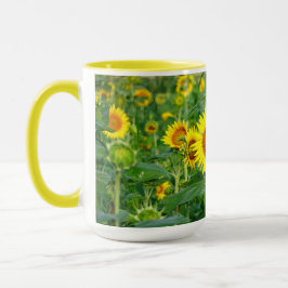 Sonnenblumenfeld Tasse