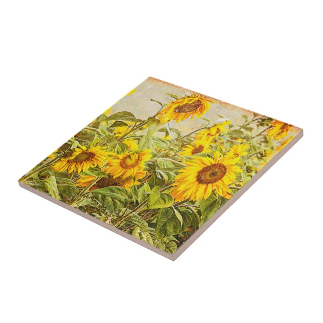 Sonnenblumenfeld Vintag Hellgelbe Landkunst Fliese (Seite)