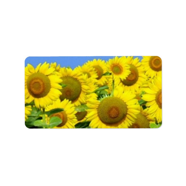 Sonnenblumenfelder Adressaufkleber (Vorne)