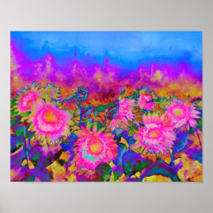 Sonnenblumenfelder - rosa poster
