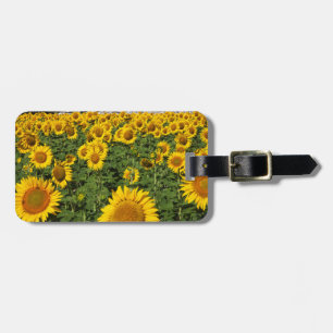 Sonnenblumenfelder, weiße Hügelsiedlung Bornos Gepäckanhänger