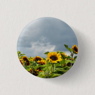 Sonnenblumenfeldmagnet Button