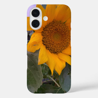 Sonnenblumengehäuse iPhone 16 Hülle