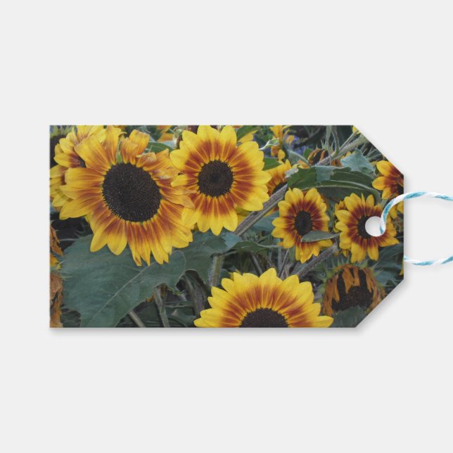 Sonnenblumengeschenk Geschenkanhänger (Vorderseite (Horizontal))