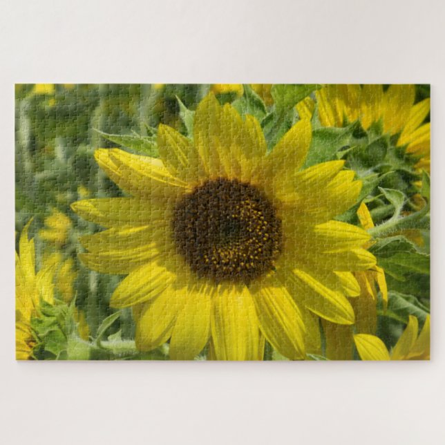 Sonnenblumengold (Horizontal)