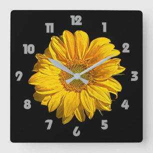 Sonnenblumengraue Fettzahl wc Quadratische Wanduhr
