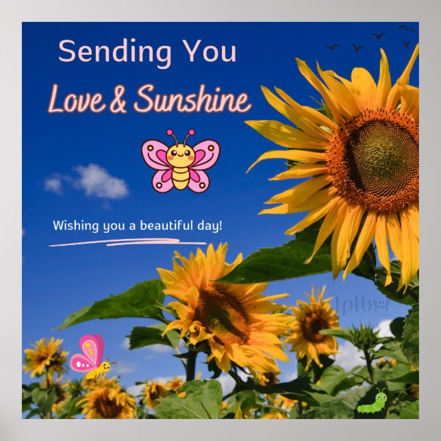 SONNENBLUMENGREETINGS ONLINE + POSTER (Vorne)