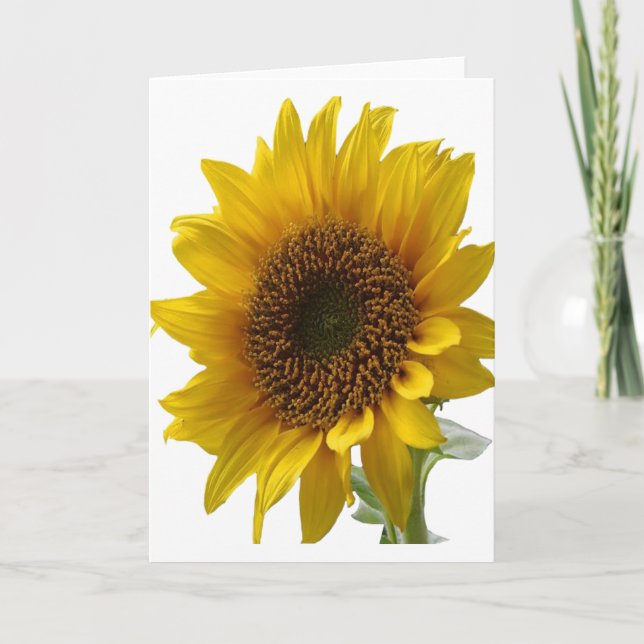 Sonnenblumengrüßkarte für sie karte (Vorderseite)