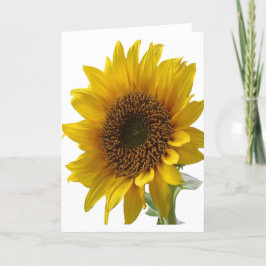 Sonnenblumengrüßkarte für sie karte