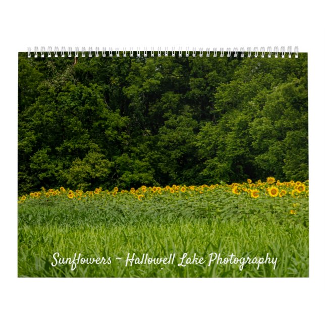 Sonnenblumenkalender Kalender (Titelbild)