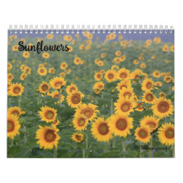Sonnenblumenkalender Kalender