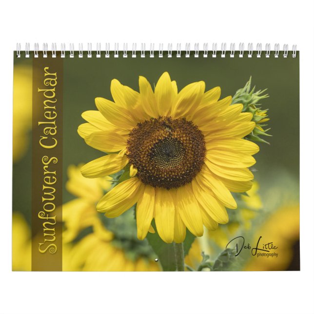 Sonnenblumenkalender Kalender (Titelbild)