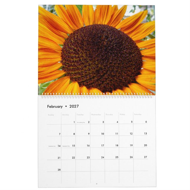 Sonnenblumenkalender - Sonnenblumen des Monats 202 Kalender (Feb 2027)