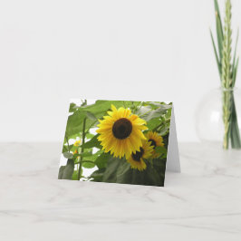 Sonnenblumenkarte (Helianthus) Feiertagskarte