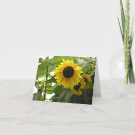 Sonnenblumenkarte (Helianthus) Feiertagskarte