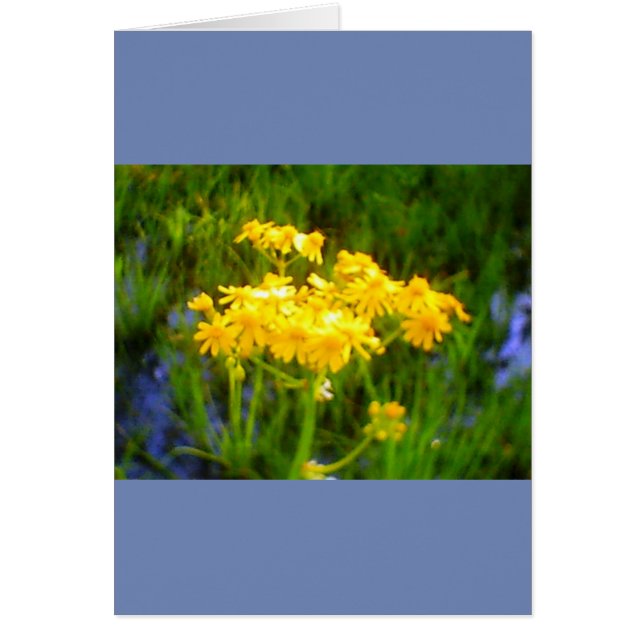 Sonnenblumenkarte Jeden Anlaß (Vorne)