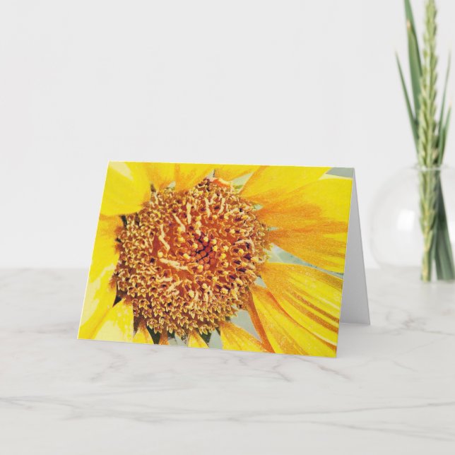Sonnenblumenkarte Karte (Vorderseite)