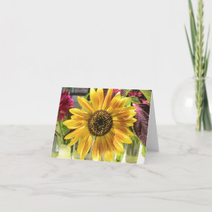 Sonnenblumenkarte Karte