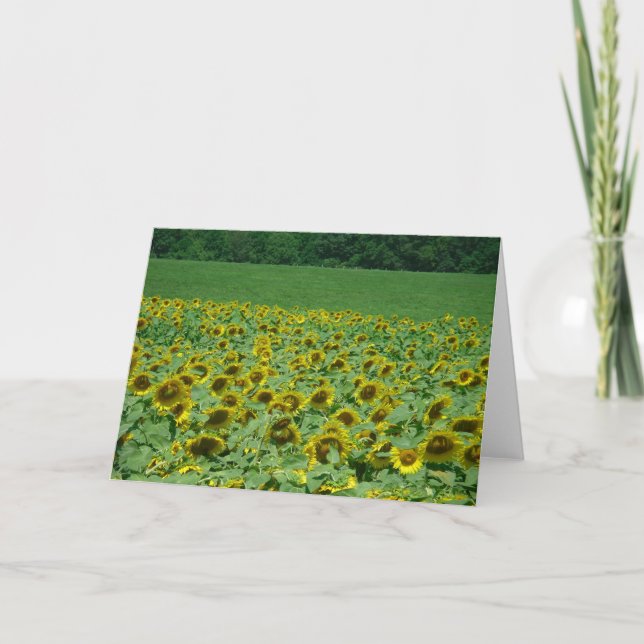 Sonnenblumenkarte Karte (Vorderseite)