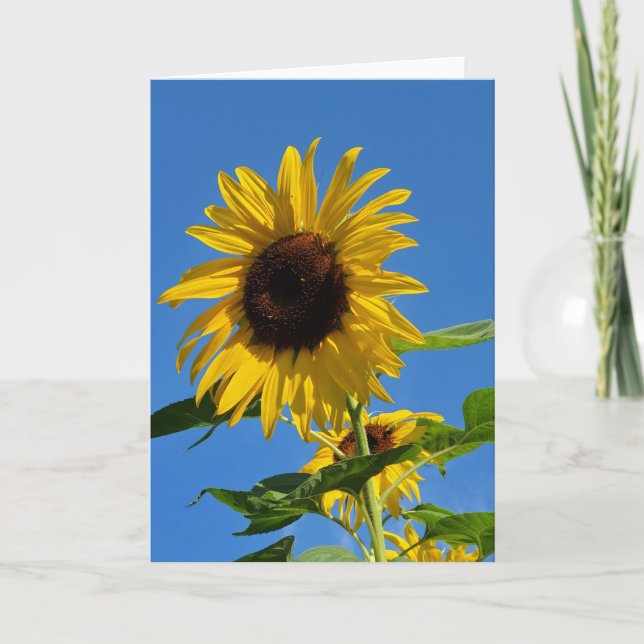 Sonnenblumenkarte Karte (Vorderseite)