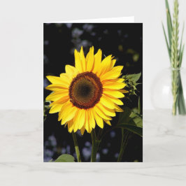 Sonnenblumenkarte Karte