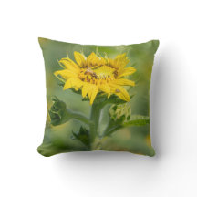 Sonnenblumenkissen