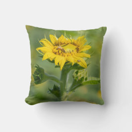 Sonnenblumenkissen Kissen