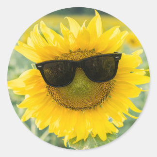 Sonnenblumenkleber | Niedliche Sonnenblumen Runder Aufkleber
