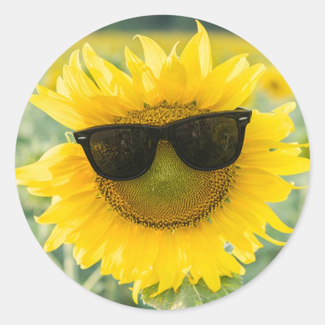 Sonnenblumenkleber | Niedliche Sonnenblumen Runder Aufkleber (Vorderseite)