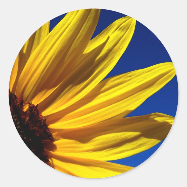 Sonnenblumenkleber Runder Aufkleber (Vorderseite)