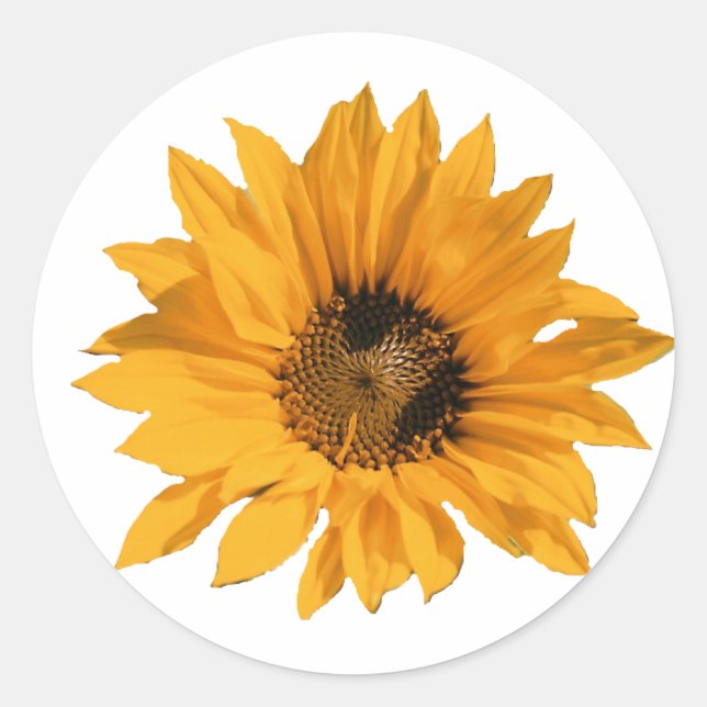 Sonnenblumenkleber Runder Aufkleber (Vorderseite)
