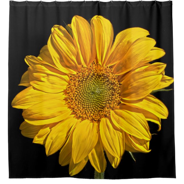 Sonnenblumenkohlenskcnm Duschvorhang (Vorderseite)