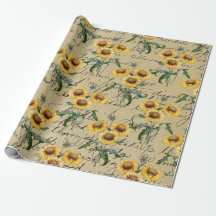 Sonnenblumenkörbe und -röschen