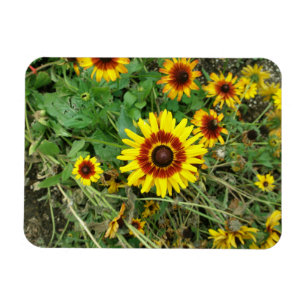 Sonnenblumenmagnet Magnet