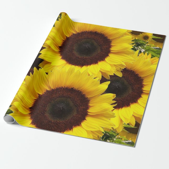 Sonnenblumenmatte Geschenkpapier (Ungerollt)